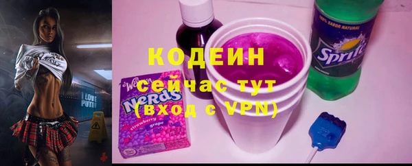 прущие грибы Алзамай