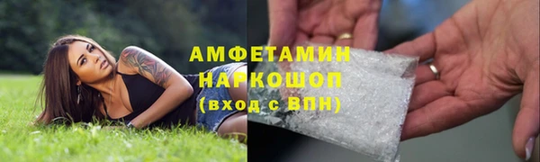 СК Алексин