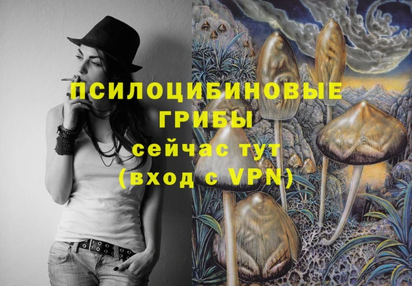 прущие грибы Алзамай