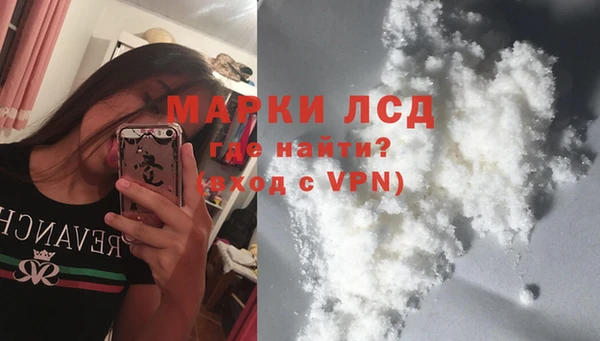 прущие грибы Алзамай