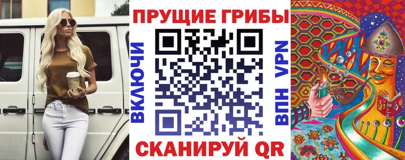 цены   Александровское  Галлюциногенные грибы Magic Shrooms 